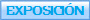 EXPOSICIN